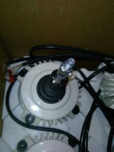 Brushless DC Motor